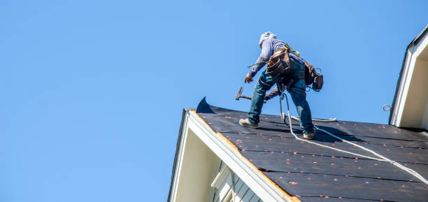 Best Storm Damage Roof Repair  in Elm Creek, NE